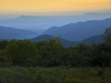 Looking Out over Forest-Covered Mountains in Evening Light