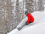 Snowboarder Enjoying Deep Fresh Powder at Brighton Ski Resort