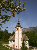 The Holy Spirit Church with Ranch of Apple Tree in Blossom