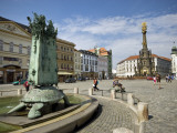 Arion Fountain and Holy Trinity Column in Distance at Horni Namesti