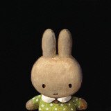 Lost Miffy