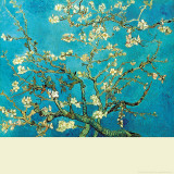 Branch of an Almond Tree in Blossom