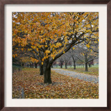 Autumn Afternoon III