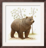 Grizzly Bear on Dirt Mound