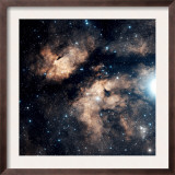 Butterfly Nebula
