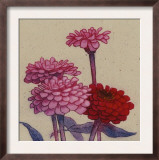 Zinnia Flower