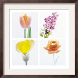 Pastel Stems Four Patch