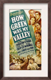 How Green Was My Valley  1941