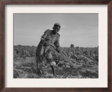 Thirteen-Year Old African American Sharecropper Boy Plowing in July 1937