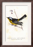 Vintage Bird