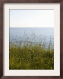 Grassy Berm at Water's Edge