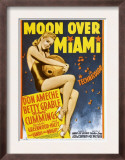 Moon over Miami  Betty Grable on Window Card  1941