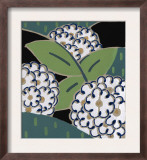 Abstract White Flowers