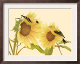 Yellow Birds on Sunflowers