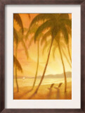 Tropical Beach with Palm Trees