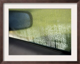 Rain Reflections I