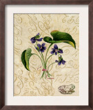 Vintage African Violets with Toad