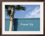 Dream Big