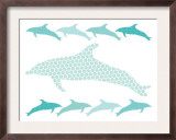 Seagreen Dolphin Family