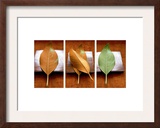 Leaves Arrangement Triptych