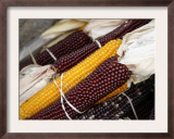Autumn Harvest