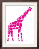 Pink Reticulated