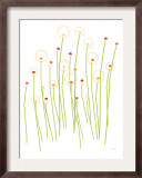 Orange Dandelion