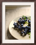 Grapes in the Afternoon