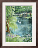 Two Swans on a Pond