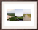 Coastal Streams Triptych