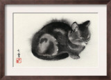 Sleeping Gray Cat