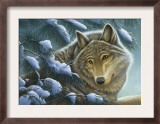 Wolf in Snow