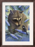 Raccoon and Chickadee in Snow