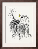 Shaggy Dog with Butterfly