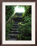 Ascent in Nature's Midst