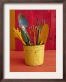 Gardening in Colors