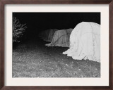 California Citrus Heritage Recording Project  Tenting Citrus Trees at Night  Riverside County  1930