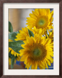 Sunny Sunflower II