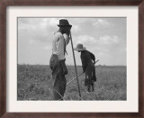Cotton Sharecroppers Weeding their Small Cotton Crop in Greene County Georgia