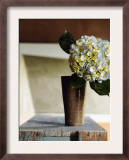 Hydrangea Rustic Vase