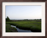 Marshland Rivulet