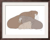 Brown Walrus