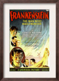 Frankenstein  Dwight Frye  John Boles  Mae Clarke  Boris Karloff  Edward Van Sloan  1931