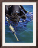 Navy Seal Combat Swimmer