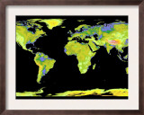 Digital Elevation Model of the Continents on Earth
