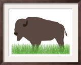 Buffalo