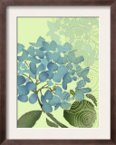 Hydrangea in Blue