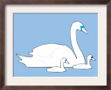 Blue Swan