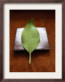 Green Leaf on Metallic Square