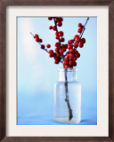 Winterberry Holly